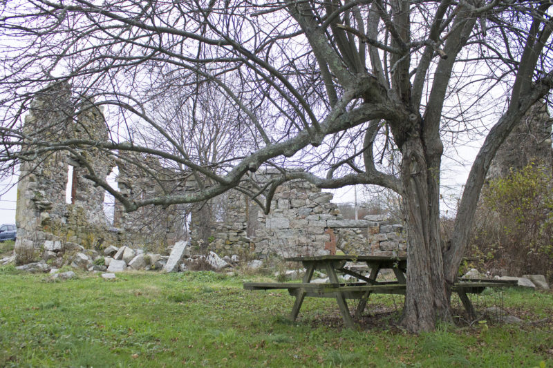 Picnic table beneath a tree next to White's Factory