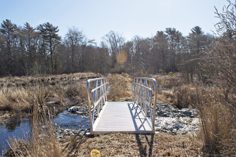 Metal bridge across a stream at Grassi Bog in Marion.