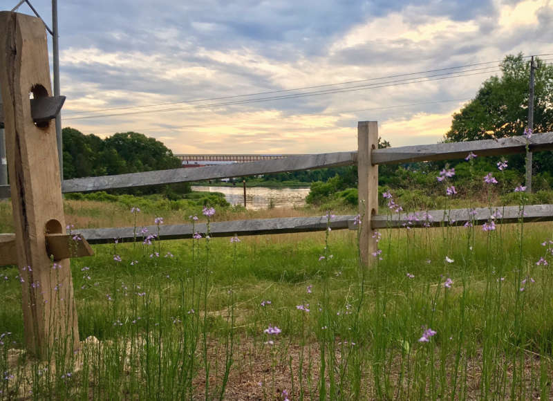 View of Acushnet River from Keating Woods