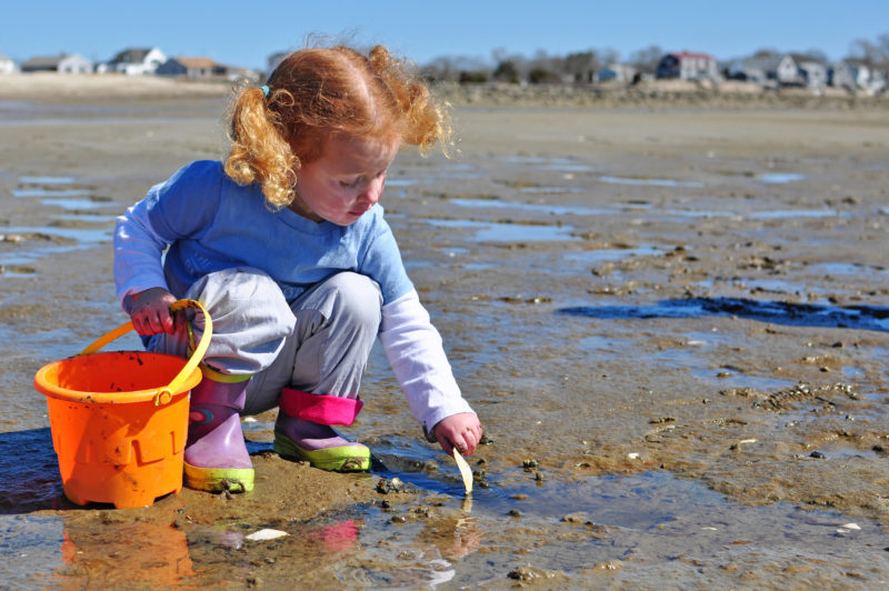 A young girl beachcombing on Swifts Neck Beach in Wareham