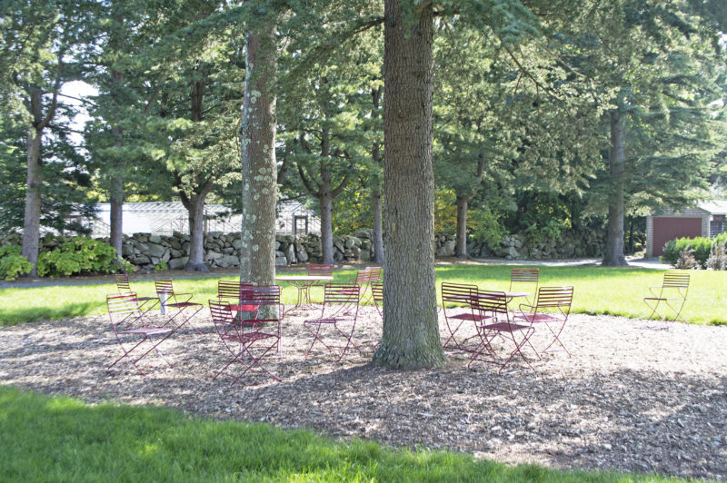 Chairs beneath trees at Allen C. Haskell Public Gardens in New Bedford