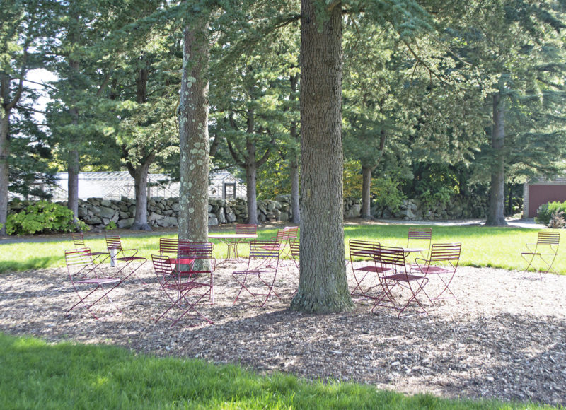 Chairs beneath trees at Allen C. Haskell Public Gardens in New Bedford