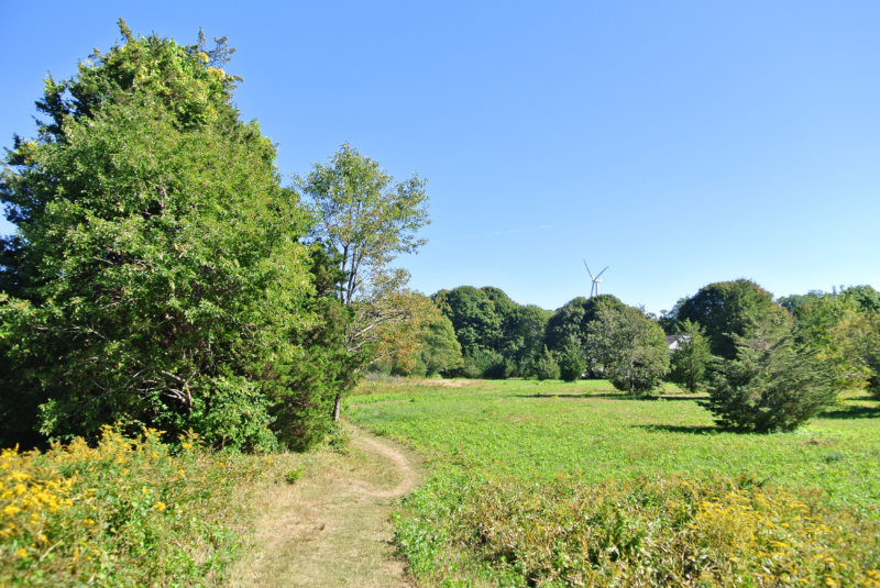 Path through the field at Cardoza Farm in Falmouth