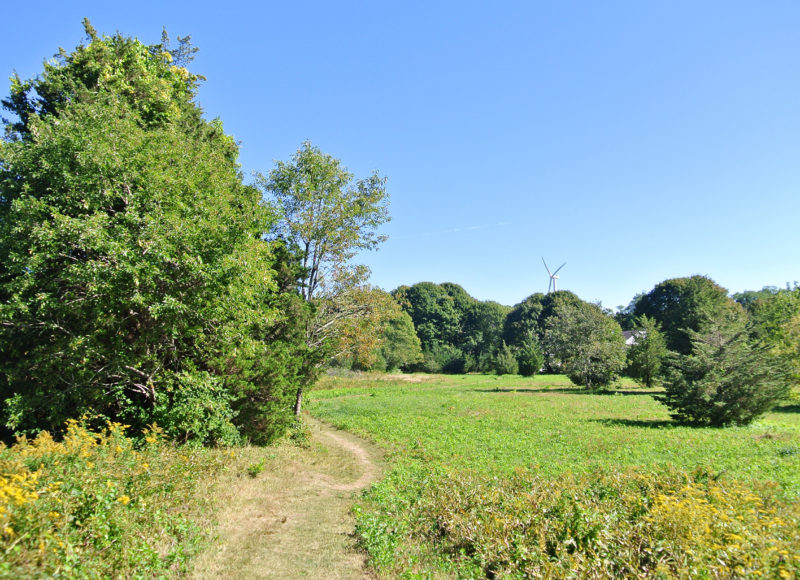 Path through the field at Cardoza Farm in Falmouth