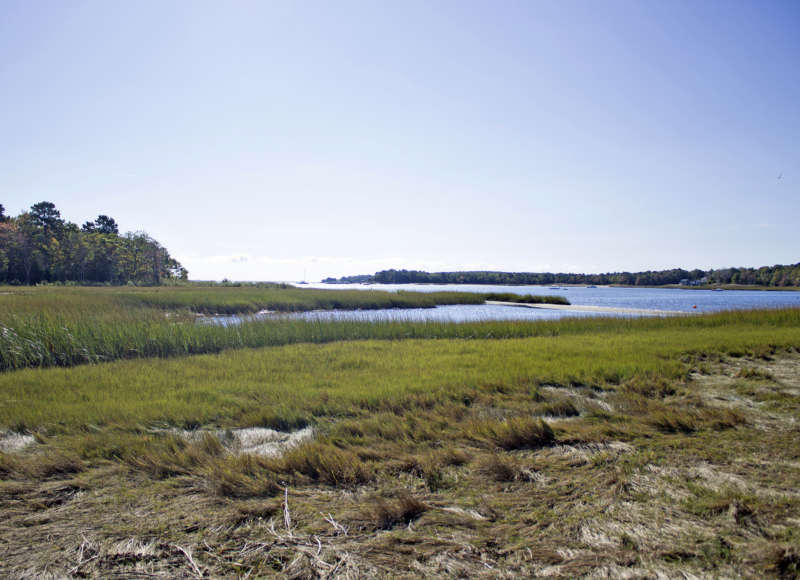 Salt marsh at the edge of Marks Cove Conservation Area in Wareham