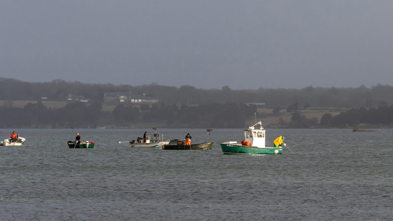 Shellfishermen on Westport River