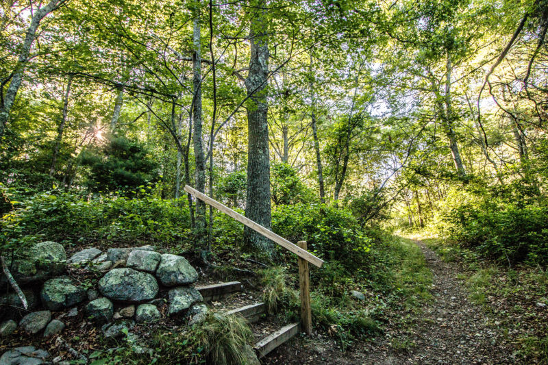 Stairs along the trail at Dunham's Brook Conservation Area in Westport