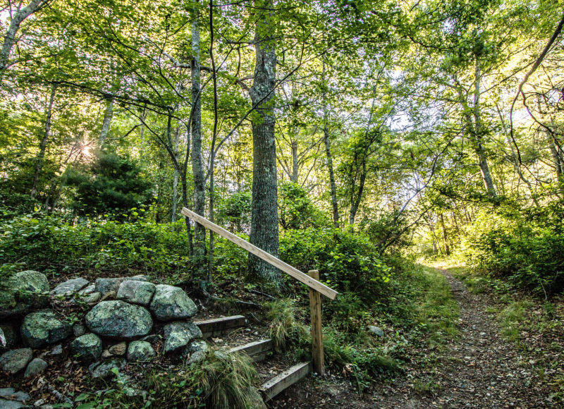 Stairs along the trail at Dunham's Brook Conservation Area in Westport