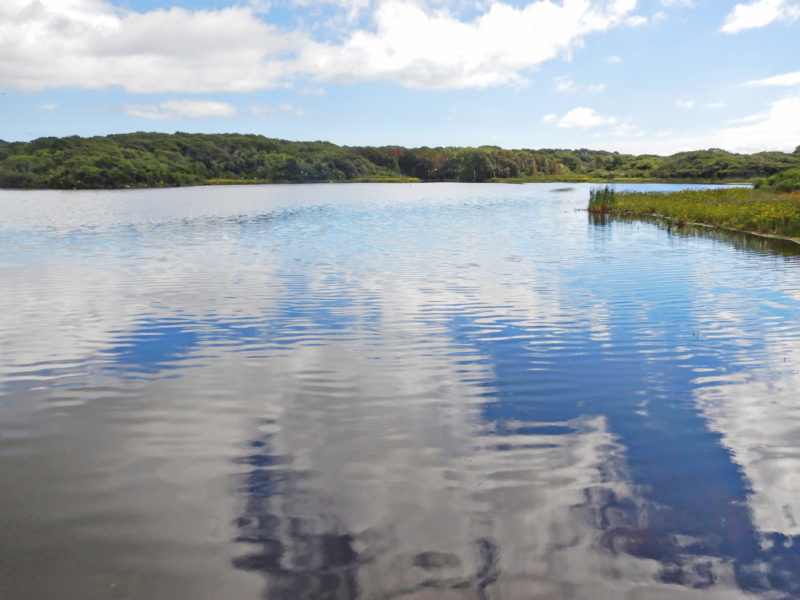 Clouds reflected in the still waters of Flume Pond in Falmouth