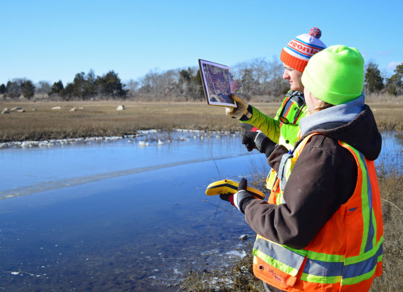 Two Buzzards Bay Coalition staff members monitoring land