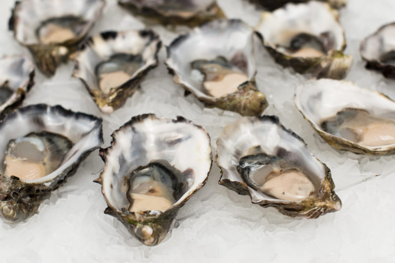 Raw shucked oysters on ice