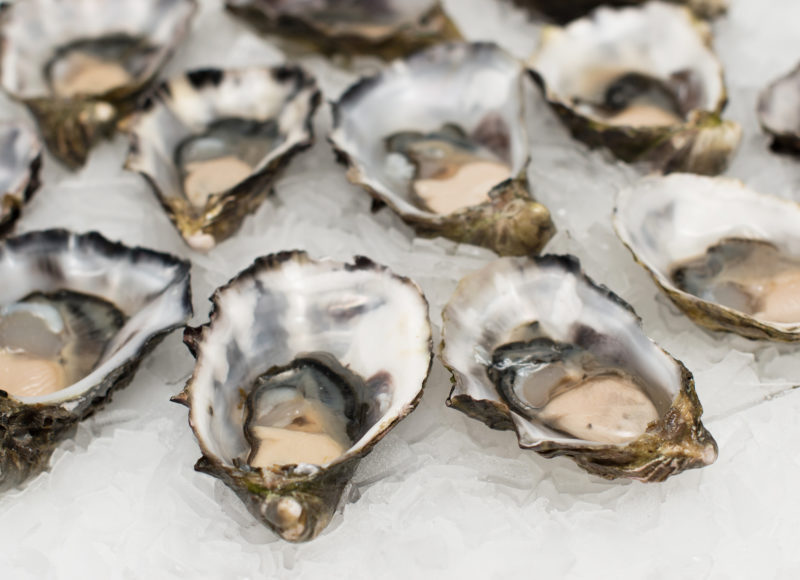 Raw shucked oysters on ice