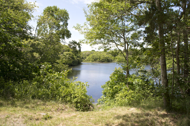 The path down to Miles Pond in Falmouth during spring