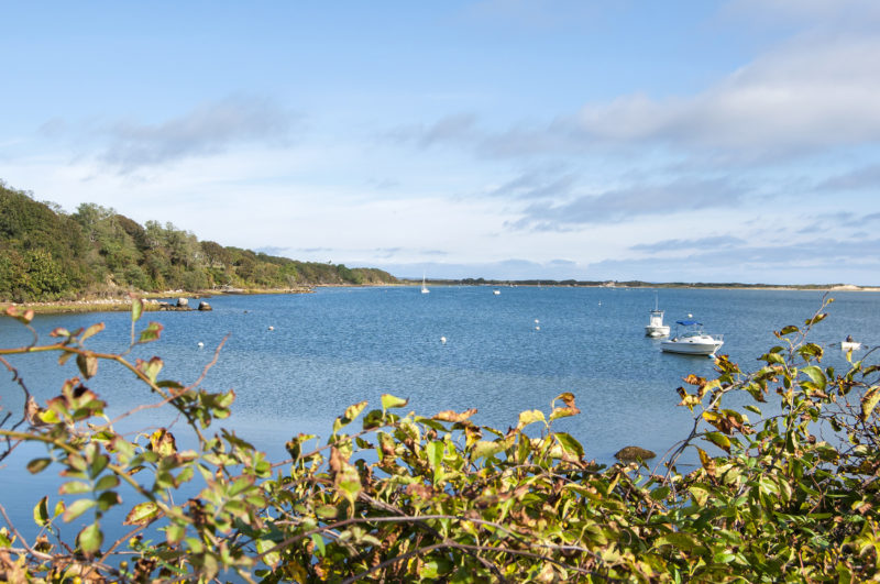 Menemsha Pond from the Wampanoag Tribe water testing facility in Aquinnah