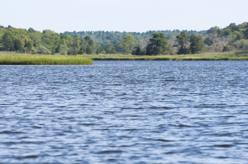 The upper East Branch of the Westport River