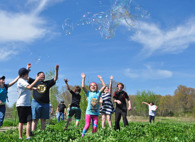 Kids chasing after bubbles in a green field
