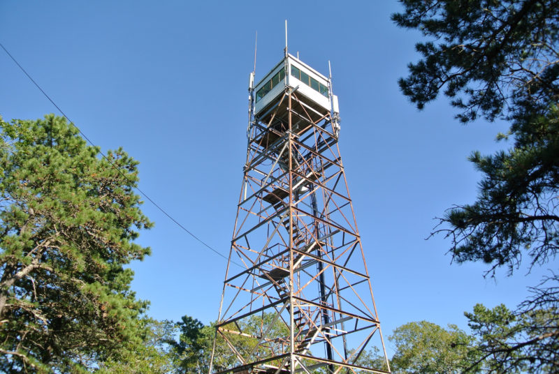 Looking up at the fire tower at Collins Woodlot in Falmouth
