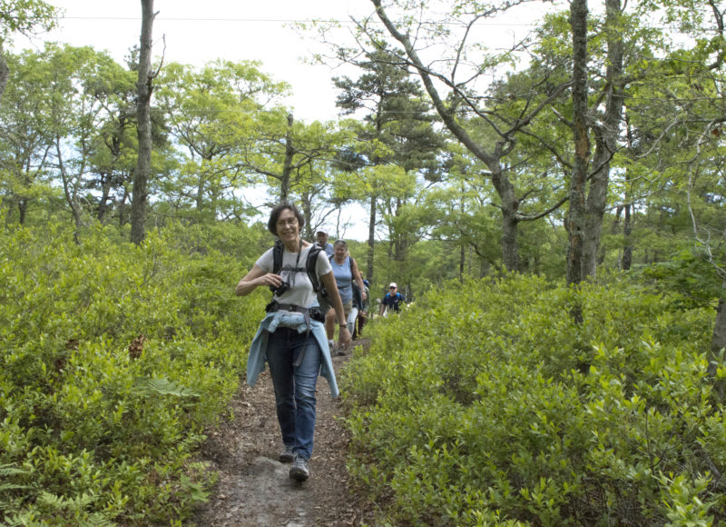 People walking on the trail at Northern Moraine Conservation Area in Falmouth