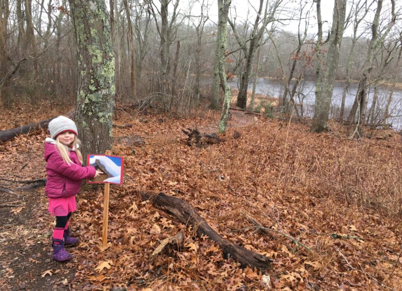 A girl reading a book from a StoryWalk in the woods.