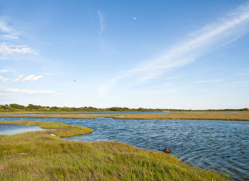 salt marsh and coastal forests along Allens Pond in Dartmouth