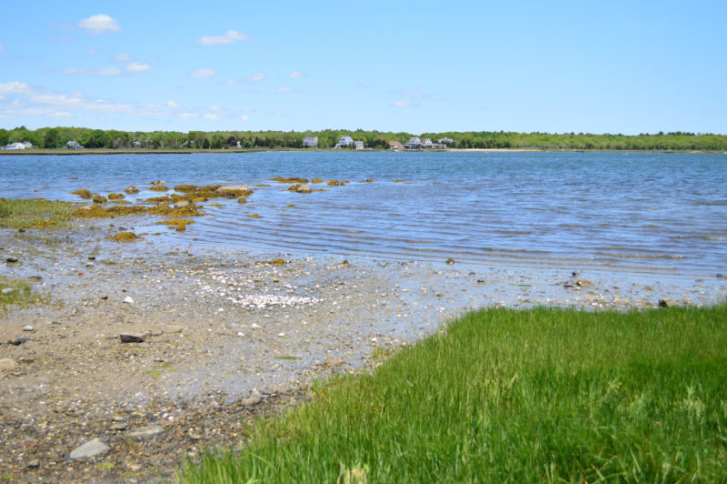 The rock and sand kayak launch at Edgewater Street