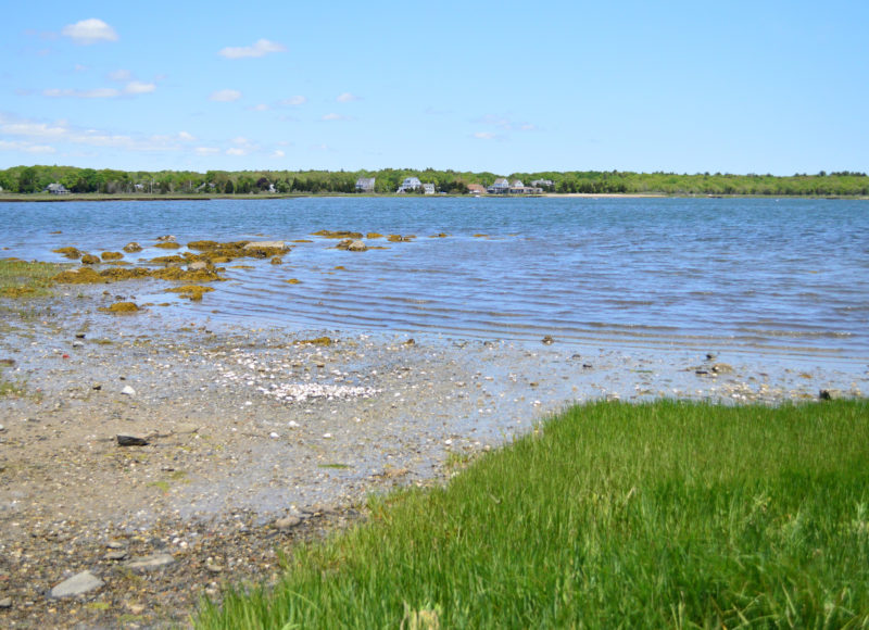 The rock and sand kayak launch at Edgewater Street