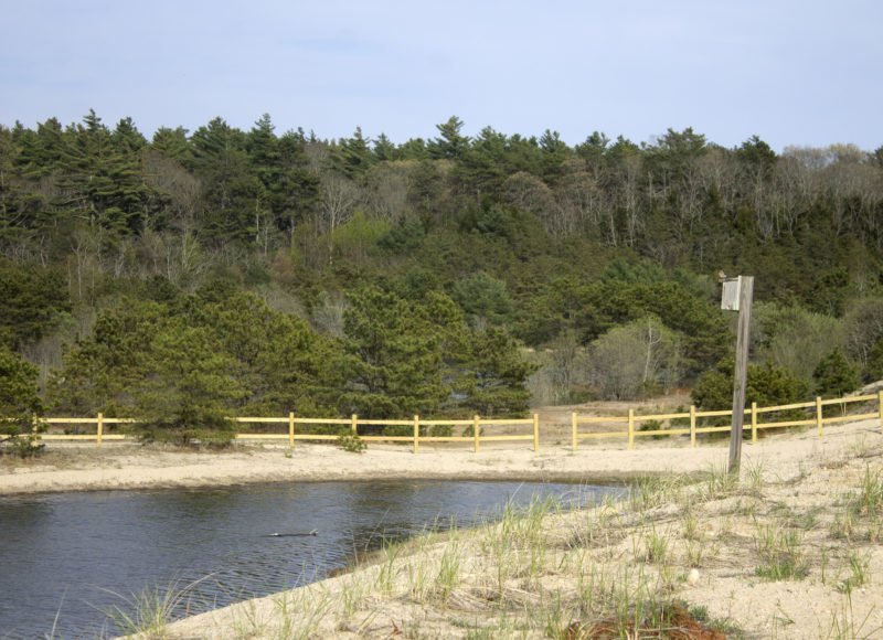 A bird box overlooking a flooded vernal pool at Breivogel Ponds Conservation Area in Falmouth