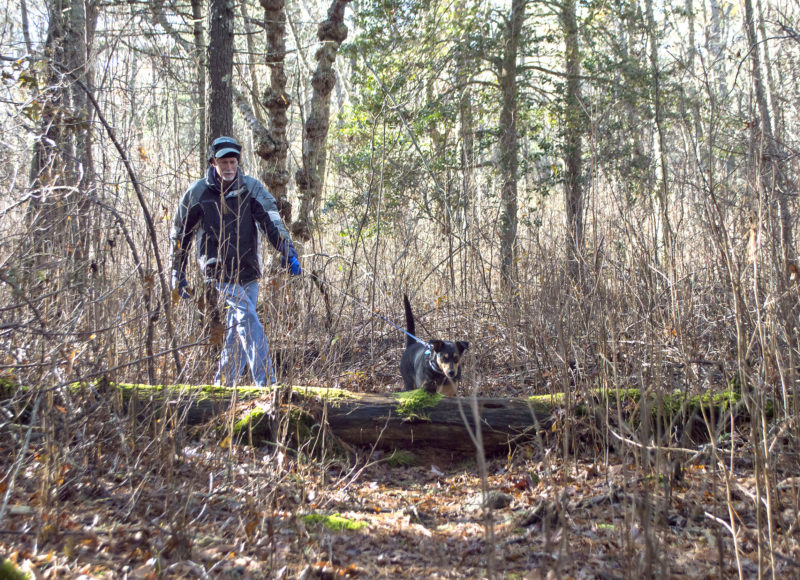A man and his dog crossing over a fallen tree at Hagemann Woods in Marion
