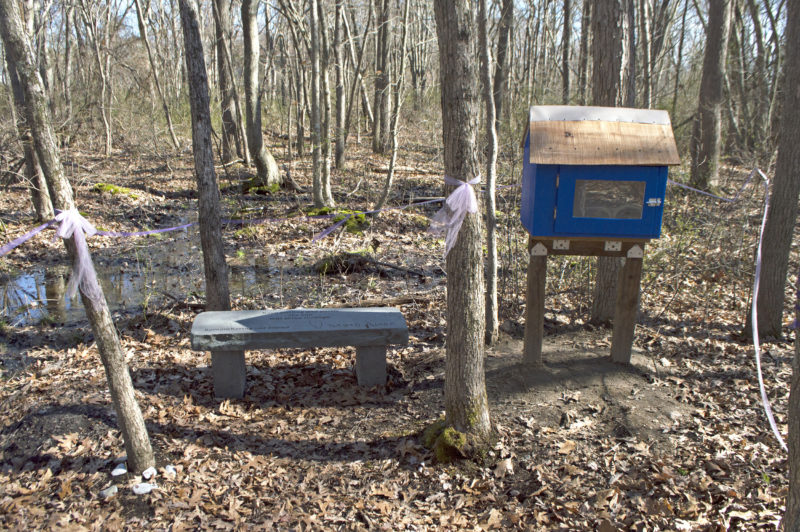 A stone bench and small wooden box for lending books in the woods