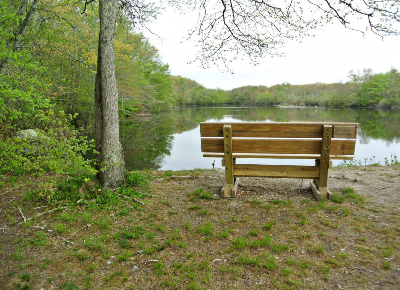 A wooden bench beside the water at Simmons Mill Pond Management Area in Little Compton