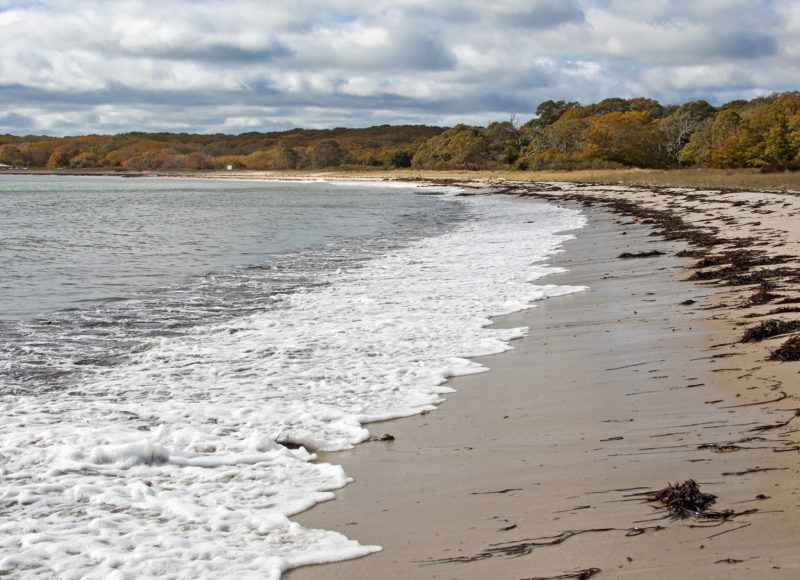 Trees in fall colors behind the sandy beach at Naushon Island's Tarpaulin Cove