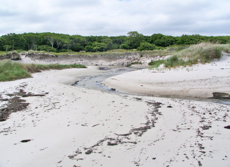 A small stream cutting across West Beach on Naushon Island