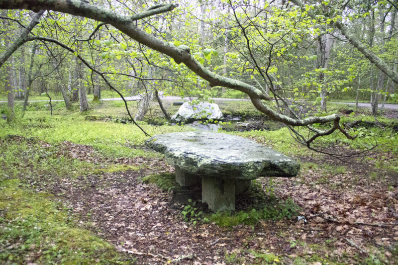 A stone bench beneath a tree branch beside the brook at Wilbour Woods