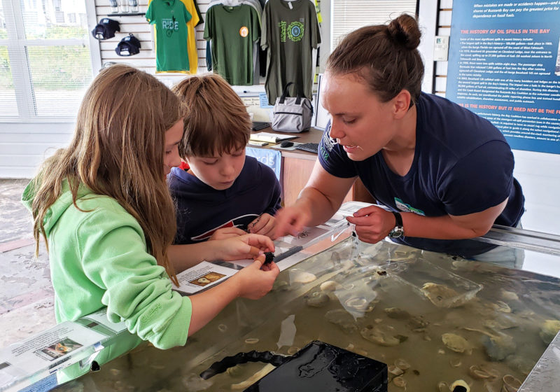 Two kids look at a hermit crab with an adult next to a touch tank