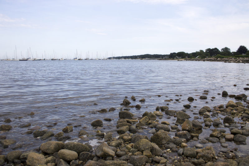 The shore of Apponagansett Bay on Knowles Beach in Dartmouth