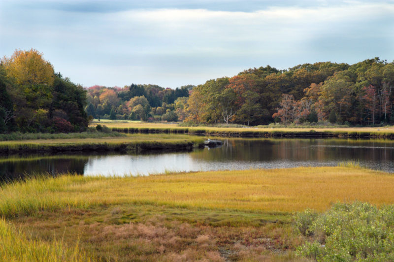 Salt marshes along Darrmouth's Dike Creek in fall