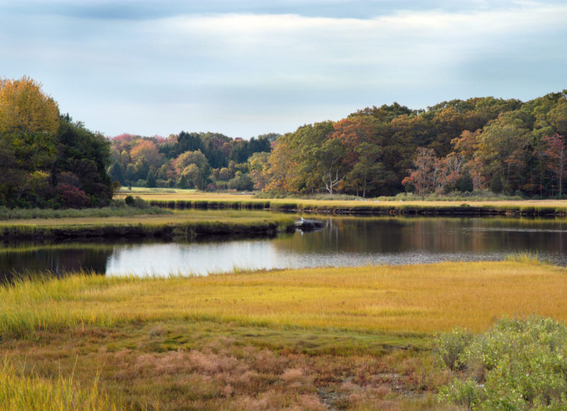 Salt marshes along Darrmouth's Dike Creek in fall