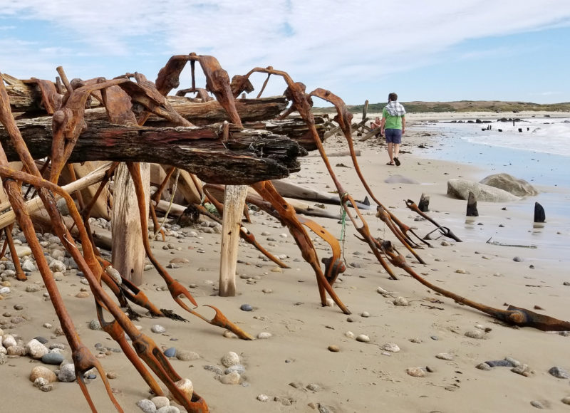 Pieces of rusted metal and old wood emerging from the sand at Barges Beach on Cuttyhunk