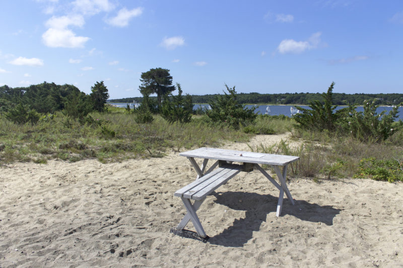 A picnic table atop Bassetts Island overlooking green trees and blue water