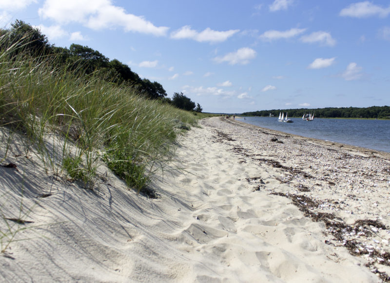 White sandy shores on Bassetts Island in Bourne, with views of sailboats in the distance