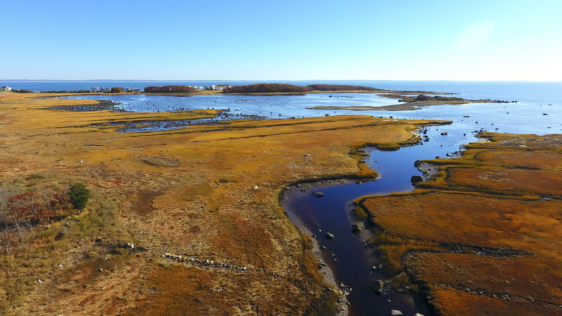 Orange and red fall salt marshes surrounding Pine Island Pond