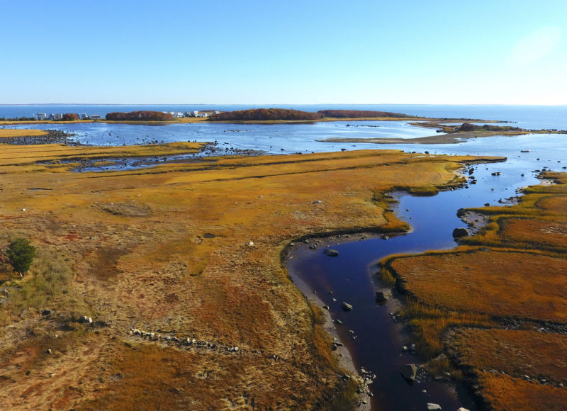 Orange and red fall salt marshes surrounding Pine Island Pond