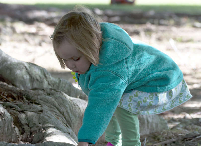 A little girl reaching down toward the base of a tree