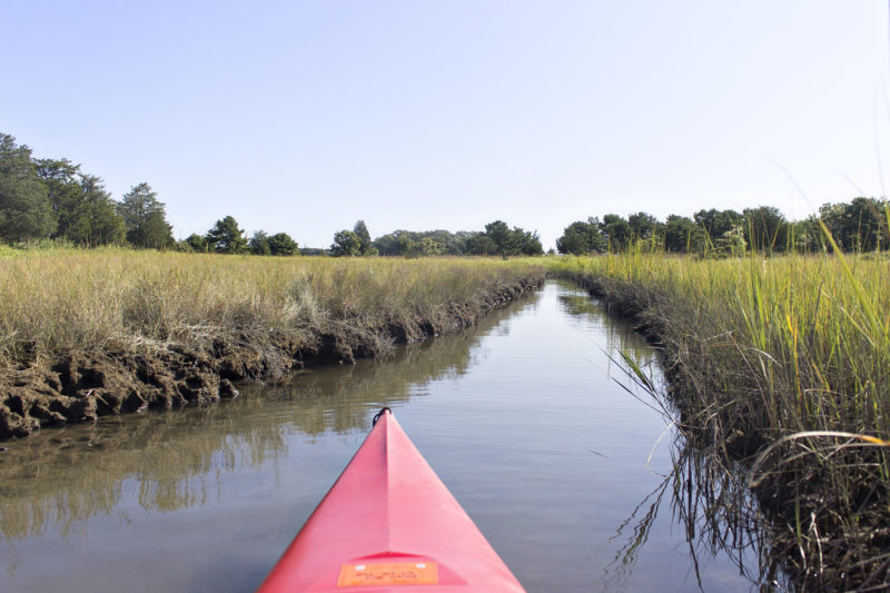 A red kayak traveling up the marsh channels of Broad Marsh Conservation Area