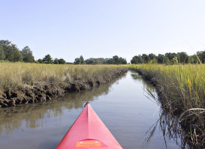 A red kayak traveling up the marsh channels of Broad Marsh Conservation Area