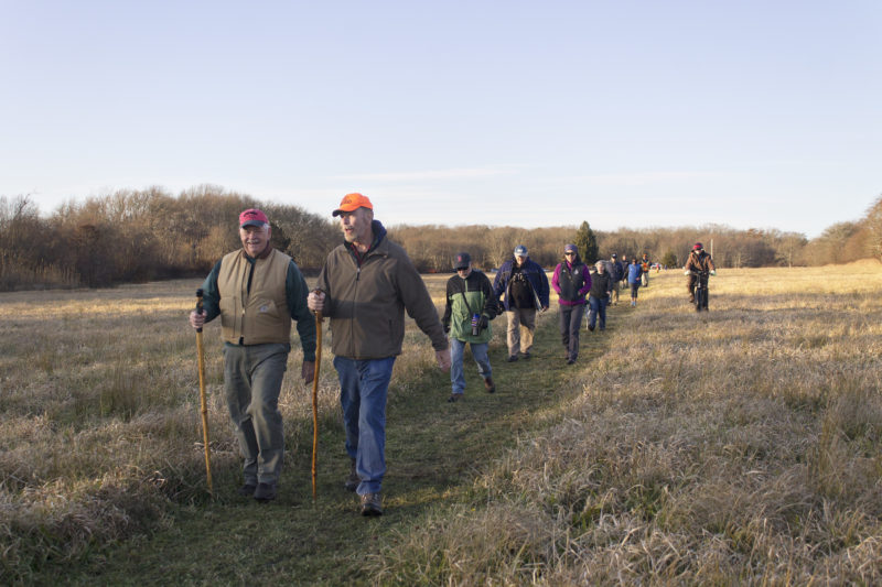 People walking through the open field of Carvalho Farm