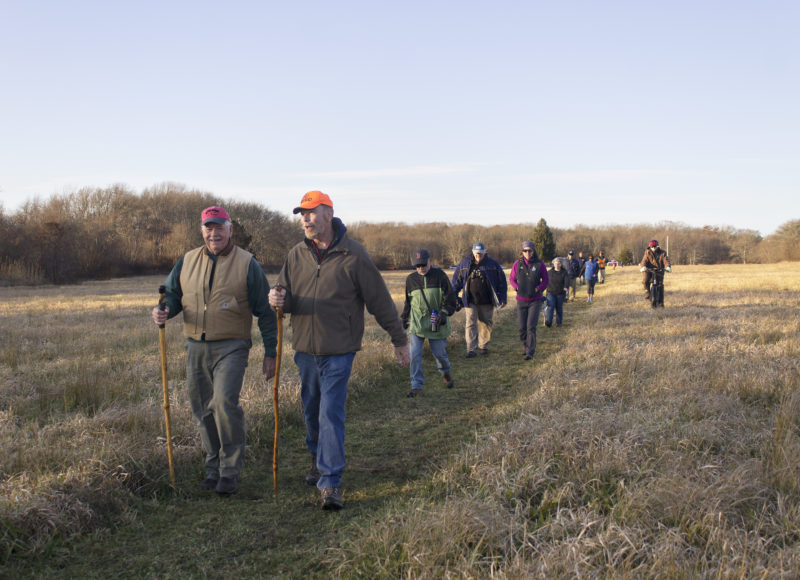 People walking through the open field of Carvalho Farm