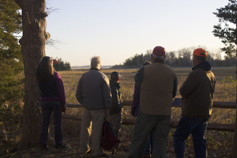 People looking over the salt marshes along Nasketucket Bay