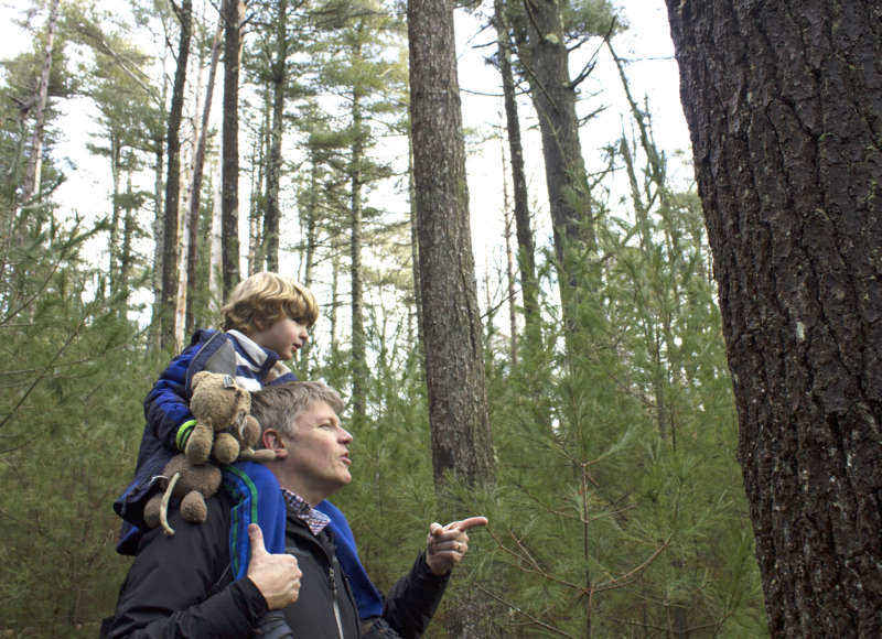 A father with his son on his shoulders in the woods