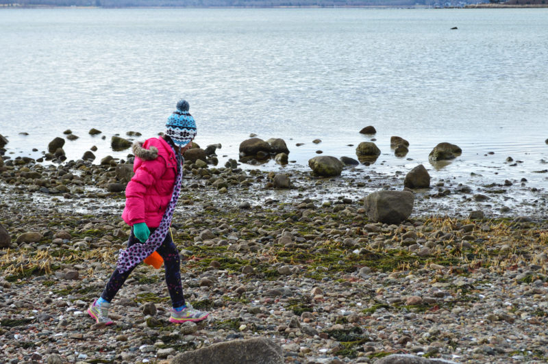 a girl walks on Little Harbor Beach in winter